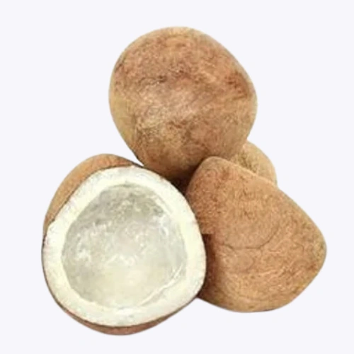 Gari